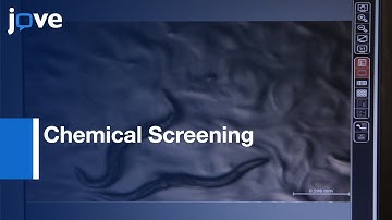 Chemical Screening in Caenorhabditis Elegans | Potocol Preview