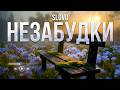 SLOVO Незабудки Прем єра 2026 Лірична авторська українська пісня про життя SLOVO Незабудки Прем єра 2026 Лірична авторська українська пісня про життя