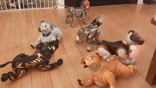 Aibo Fools!!! by Einfari Âûtomata 439 views 1 month ago 5 minutes, 23 seconds