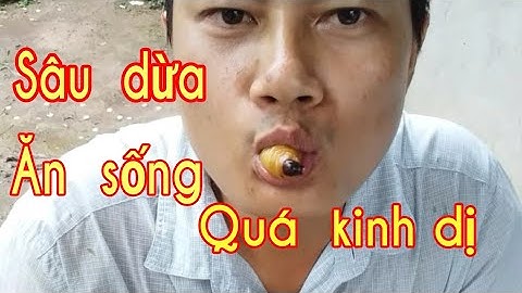 Món  ăn  kinh dị nhất thế giới/đuông  dừa/đặc sản bến tre/nguyen kha youtube