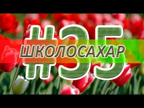 видео: ШКОЛОСАХАР #35