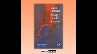 Claire Messud Létrange Tumulte De Nos Vies