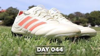 copa 19.1 ag review