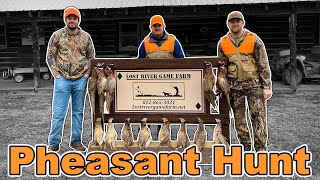 Pheasant Hunting | Lost River Game Farm
