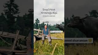 #sinop #erfelek #himmetoğluköyü #dinoplugenç57 #doğa #manzara #manda #trend #viral #youtubeshorts ❤