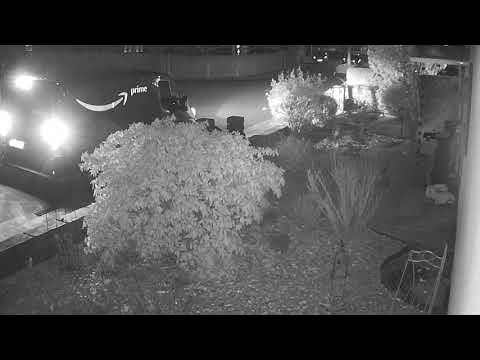 Zustellung Amazon am 08.01.2024 - YouTube