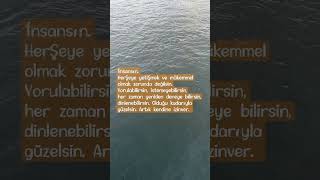 Insansın