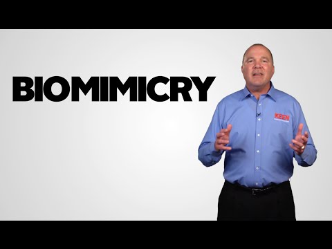 Biomimicry - Looking to Nature for Sustainable Product & Process Ideas
