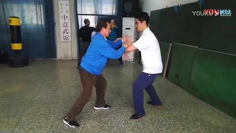 Yiquan Lesson with Master Yao Cheng Rong