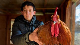 Is This The End Of BIG Feathers Farm?