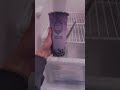 Taro Milk Tea With Ube Foam Boba Gem Tea House In Seattle Shorts Youtubeshorts