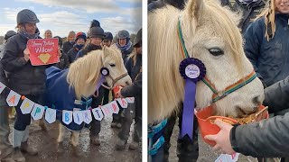 Rescue Pony Celebrates Her 45th Birthday
ID: 3540099
ONSCREEN CREDIT - Redwings Horse Sanctuary
A rescued Welsh pony has celebrated a birthday milestone by turning 45. The pony, named Willow, was serenaded by colleagues from the care and veterinary teams at Redwings Horse Sanctuary, in Norfolk, as they all gathered round to sing her happy birthday and give her a special horse food cake. Willow arrived in 2003 at the age of 25, which people already refer to as a veteran, in an operation carried out by the RSPCA. The pair were used as broodmares on the Welsh Commons and had received very little handling. They were nervous of human interaction and in need of some expertise. Sarah Prior, Redwings veterinary surgeon, said: “Willow is such a special old lady, we had to mark her big birthday with a party. Even though she is our oldest pony, she is in good health and with careful management, she continues to thrive. “As her teeth are old and worn, she is now one of our ‘no long fibre’ ponies which means she is not able to chew hay properly anymore. Instead, she is fed a special diet for senior horses consisting of regular, soft feeds which are delivered to Willow throughout the day, and even by our night team. “She also has four-monthly dental checks so we can look after her older teeth and is on medication to manage her arthritis and keep her comfortable. Beyond this routine care, she very rarely has to pay a visit to see us at the Horse Hospital, and she continues to enjoy life out in her paddock with some of our other golden oldies.
**Please contact licensing@catersnews.com for media / licensing / broadcast usage**
SUBMIT A VIDEO: https://www.catersnews.com/submit-content/
Check out more videos like this one:
Worlds Funniest Flight Attendant (Hilarious Viral Video) https://www.youtube.com/watch?v=DfaYKYFYHBk
Teenager Can Delay Her Voice (Funny Viral Video) https://www.youtube.com/watch?v=m5TaxX6RHZ4
Man Dressed As T-Rex Plays With 500LB Alligator https://www.youtube.com/watch?v=DrnFuhrczyw
Connect with Caters:
Facebook: https://www.facebook.com/CatersNews/
Website: https://catersmediagroup.com/
Instagram: https://www.instagram.com/caters_news/
Company Information:
Caters Clips is owned and operated by Caters News Agency Ltd, an international multimedia content provider. We supply news, picture, video and feature stories to the world’s largest media publishers.
All videos aired on this channel have been licensed from their rightful owners Rescue Pony Celebrates Her 45th Birthday