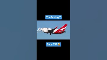 The Boeing 7 (Baby Boeing 737) Meme Cute #aviation #meme #funny #cute #baby #boeing  #shorts