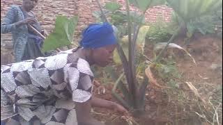 IBANGA RYIHISHE MU BUNYOBWA BW'UBUNYARWANDA