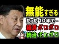 【速報】中国の習近平さん、爆弾発言キタァアアアーーー！！！（震え声）《【海外の反応】by ゆきのん日和 🐍》《 with 妹のなつみ🍊》