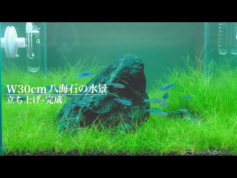 水草茂「かまきり様オーダー用」 アクアリウム用品の通販 - 水槽素材【公式】