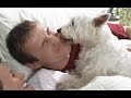 Top 10 of the funniest Dog Alarm Clocks (Dogs waking up their owners)