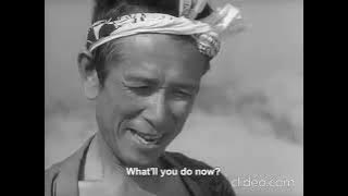 Woman in the Dunes (In Japanese with English subtitles)