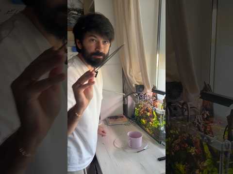 Импульс и свет