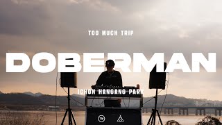 [TOO MUCH TRIP] WAV.01 Ichon Hangang Park | DOBERMAN [4K]