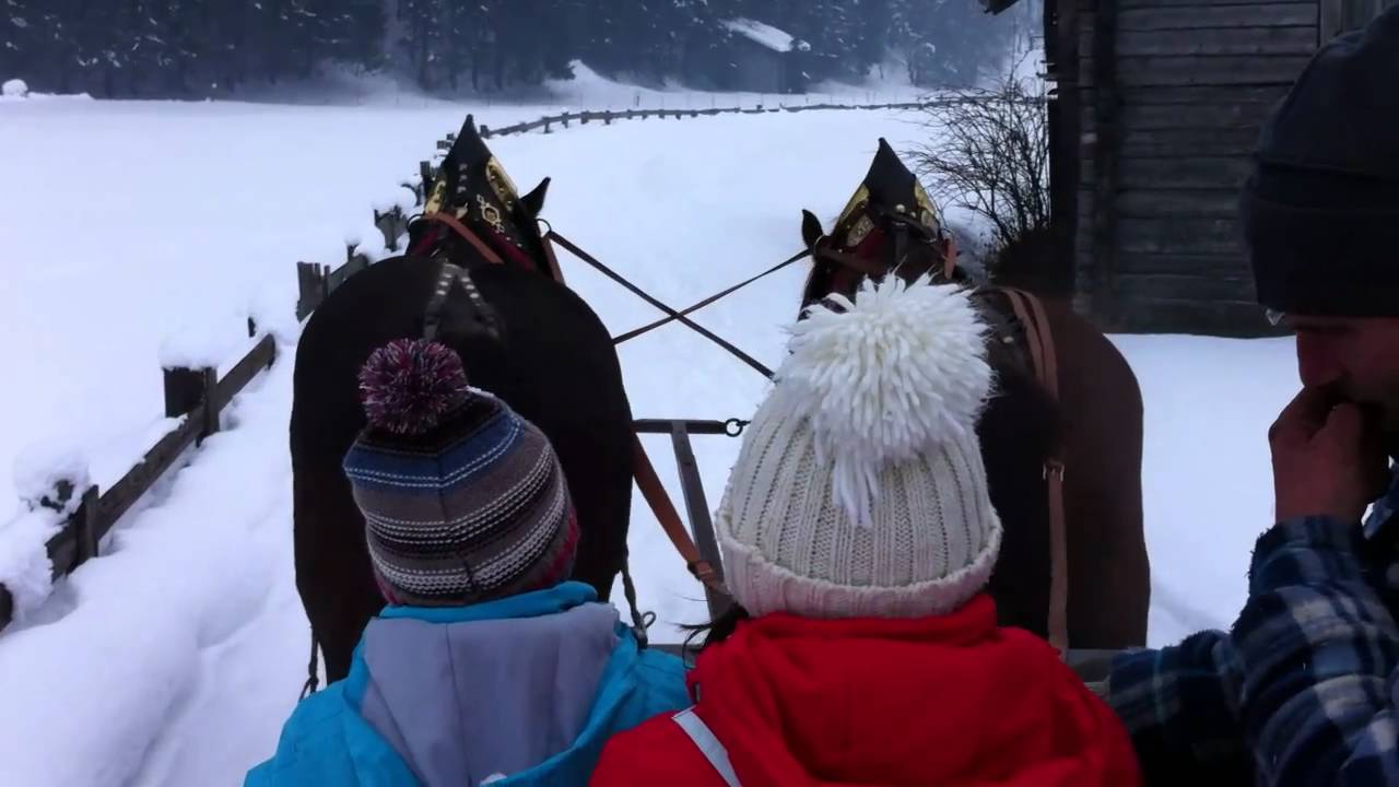 Valle Aurina. La slitta trainata dai cavalli