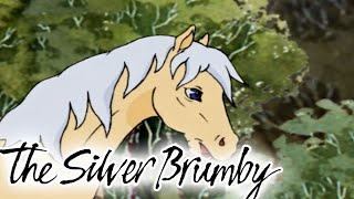 The Silver Brumby | Golden Goes Home 🐎| HD FULL EPISODES