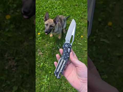 Another pre-owned MSI ????    