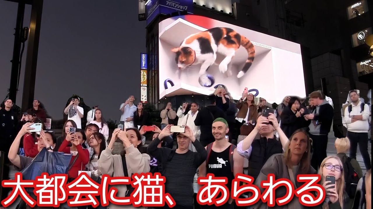 夜の大都会に猫が浮かび上がる！その猫の広告を一目みようと外国人観光客でごった返す新宿駅前