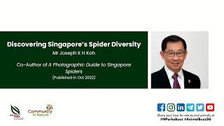 NParks Spotlight: Discovering Singapore's Spider Diversity (Festival of Biodiversity Edition)
