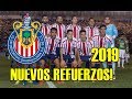 REFUERZOS CONFIRMADOS PARA CHIVAS CLAUSURA 2019