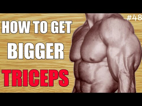 how-to-get-bigger-triceps-kannada-||-ignis-fitness-||-body-transformation-specialist