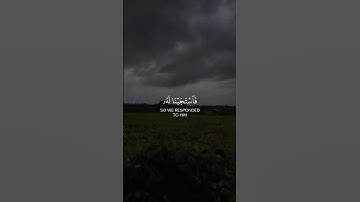 سورة الانبياء | القارئ : ياسر الدوسري