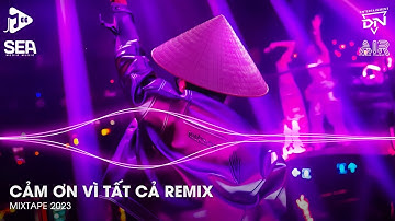 Cảm Ơn Vì Tất Cả Remix - Cảm Ơn Vì Ai Đó Đã Mang Đến Em Tiếng Cười Remix Tiktok
