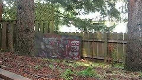 MacDev 06 Cyborg ramping