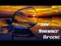 Aor ༄ Summer ༄ Breeze  𔓘༄⛱