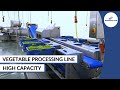 Vegetable processing line  cutting washing  drying
