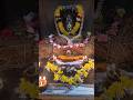 29వ రోజు వట్టివేరులతో అభిషేకం 🙏🙏. #omnamahshivaya#mahadev #shiv #karthikamasam #pooja #like #views