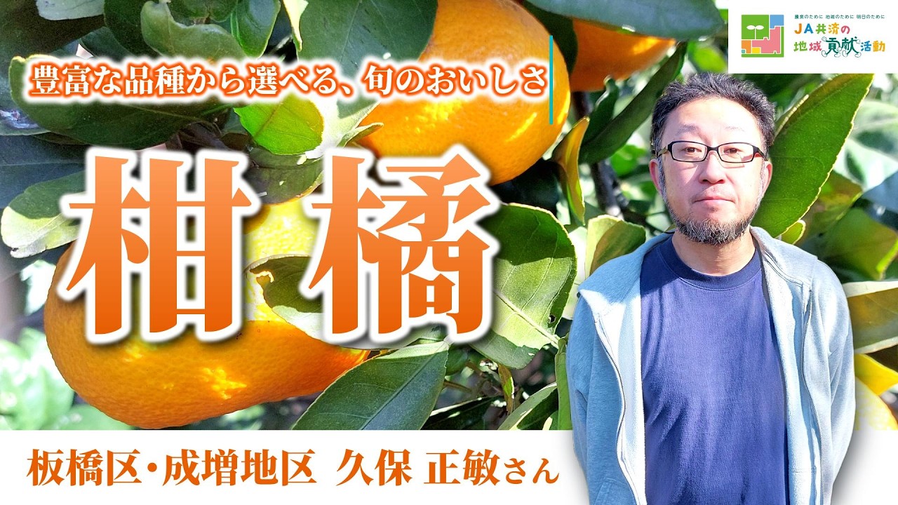 板橋地区　久保正敏さん　柑橘
