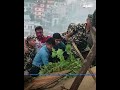 ناج وحيد من تحطم طائرة في نيبال