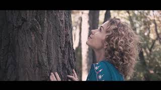 A Walk In A Saree Dress