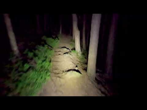 BUSTER 1600 Live Action