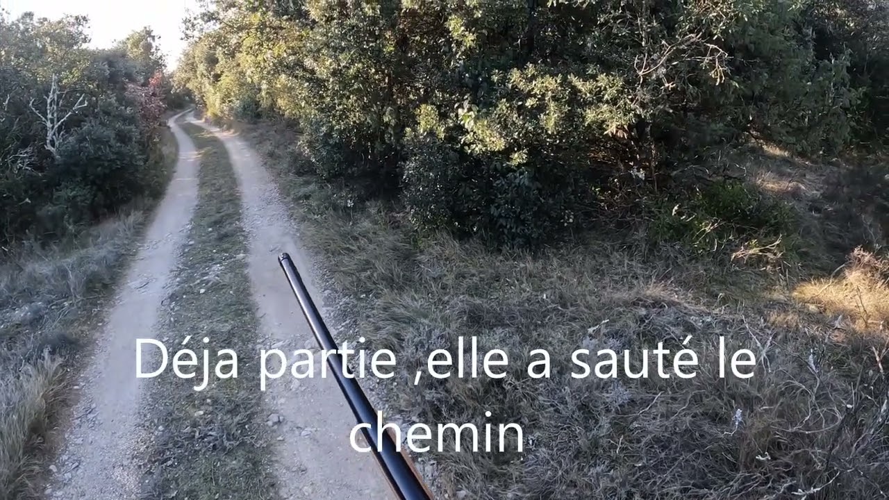 Bécasse Nykos 07 janvier 2026