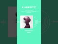 #土岐麻子 ベストアルバム収録楽曲を紹介!あなたの好きな土岐麻子の楽曲はなんですか?#土岐麻子PT20 #shorts