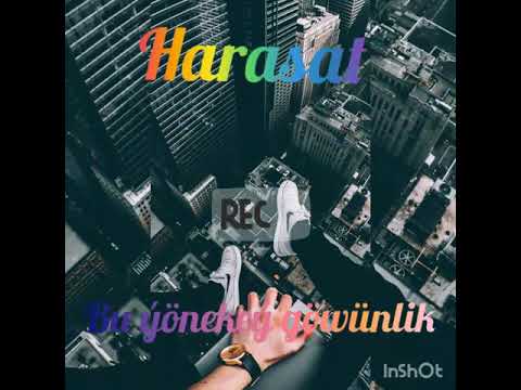 Harasat - Bu yonekey gowunlik