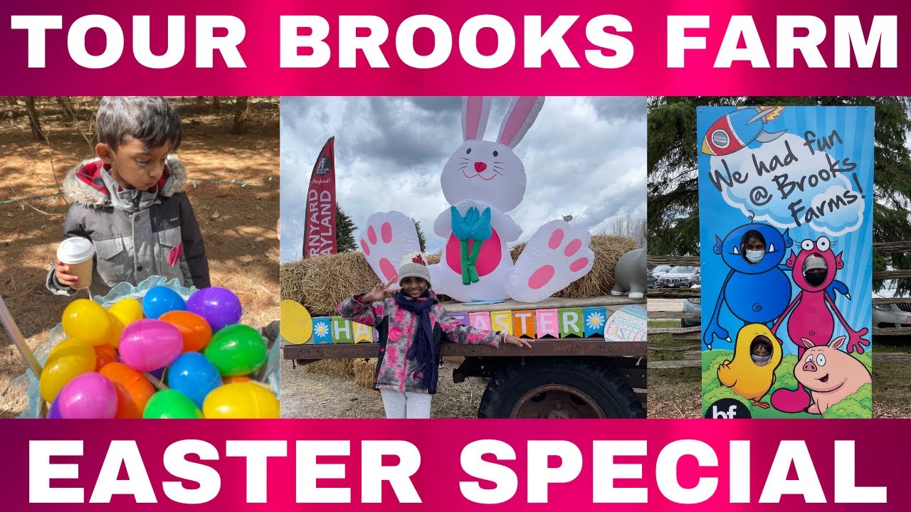 Brook Farm Tour Brooks Farms Mount Albert Farm Market YouTube