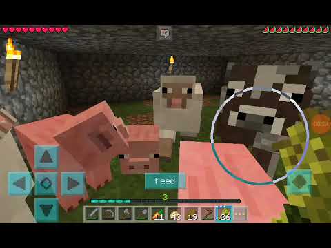 7 სექტემბერი, 2021