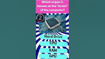 Which Organ is Known as the Brain of the Computer? #Trivia #Shorts