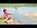 Fishing Video || Amazing hook fishing || Best hook trap | Village pond fishing | Our village fishing