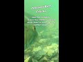 February Bass Fishing Tips #20