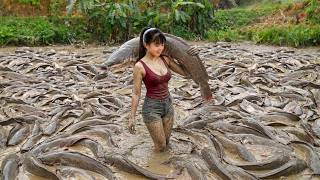 [TIMELAPSE] Harvesting Many Big Fish Go To Countryside Market Sell /Phương's Story